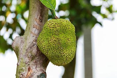 魔兽争霸官方对战平台宣布 明年1月24日终止运营